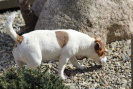 IMG 3091